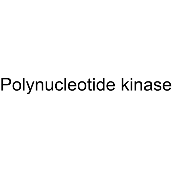 Polynucleotide kinase 37211-65-7